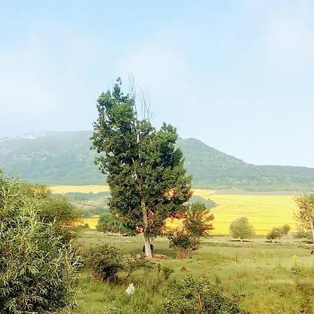 Gæstehus у снежаны *