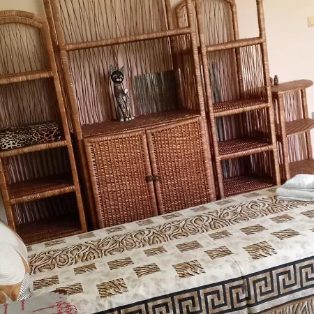 у снежаны Penzion *