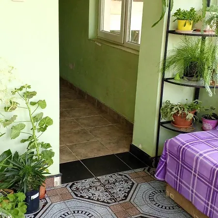 у снежаны Гостьовий будинок Provadiya