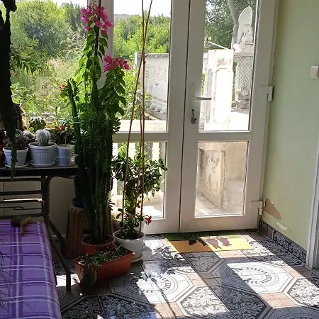 у снежаны Provadiya