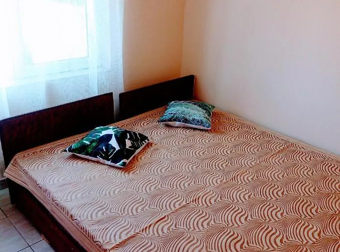 у снежаны 招待所 *