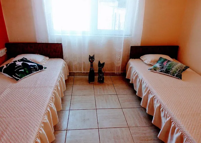 招待所 у снежаны