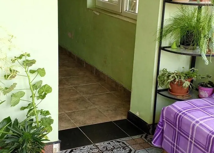 у снежаны Къща за гости Provadiya